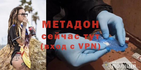 индика Гусь-Хрустальный