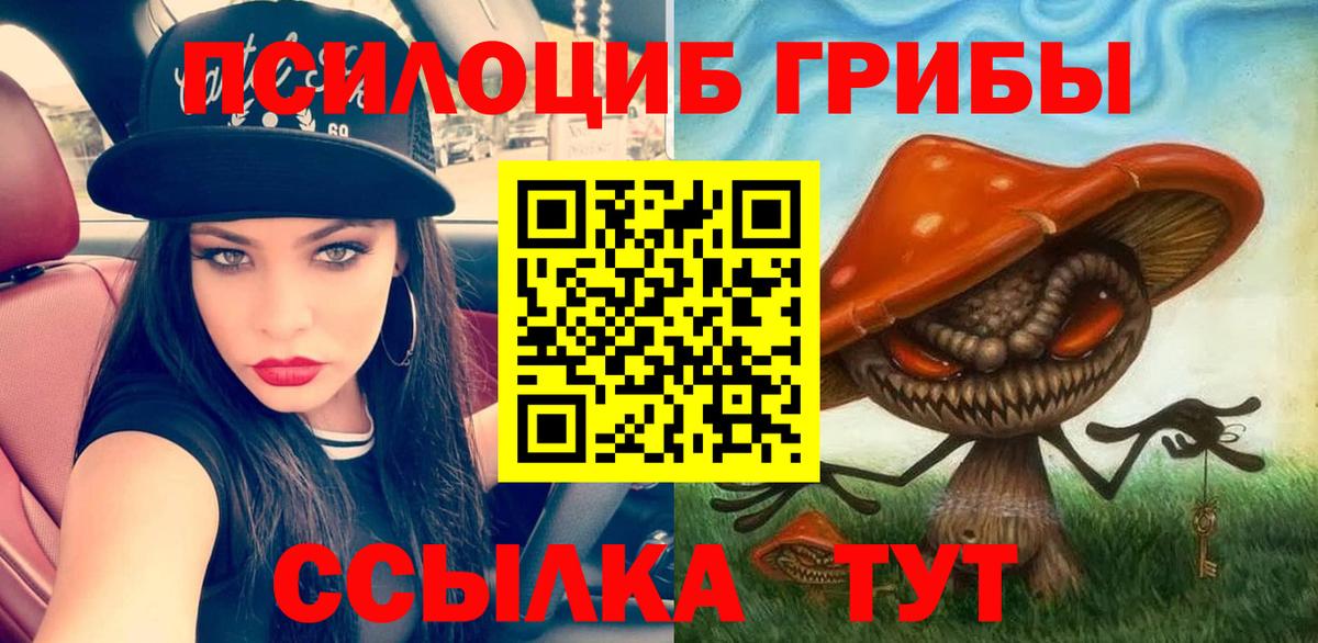 Улан-Удэ  где купить наркоту  Вход с VPN  Псилоцибиновые грибы ЛСД 